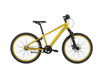 Jare 24"