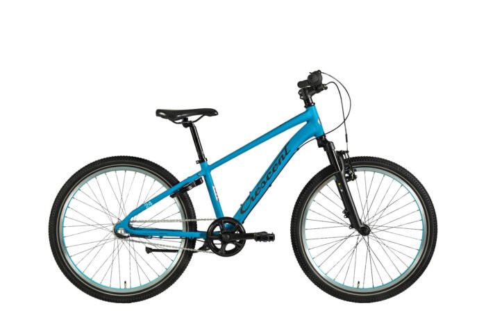 Torn 24"