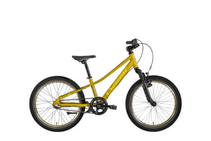 Narre 20"
