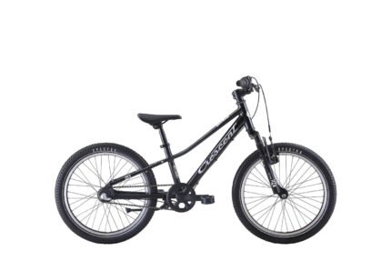 Narre 20"