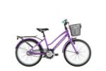 Saga 20"
