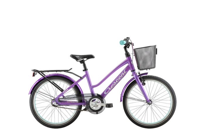 Saga 20"