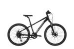 Vale 24"