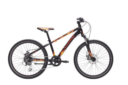 Vale 24"