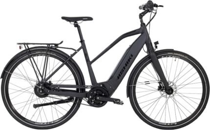 Nishiki Pro SLB E Dam remdrift 51cm Grå